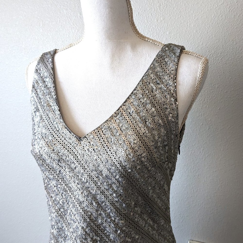 BR MONOGRAM Silver Sequin Stripe Sheath Dress